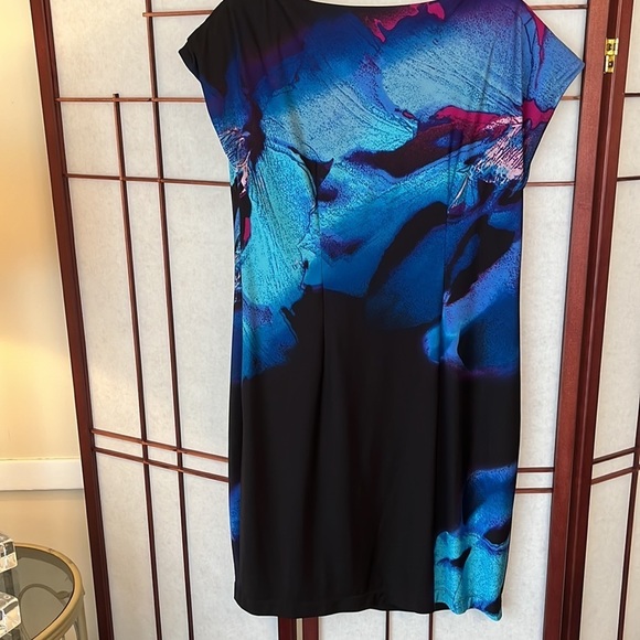 Muse Small lined Dress in EUC - Picture 4 of 7